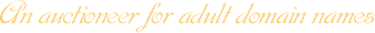 An auctioneer of adult domain names